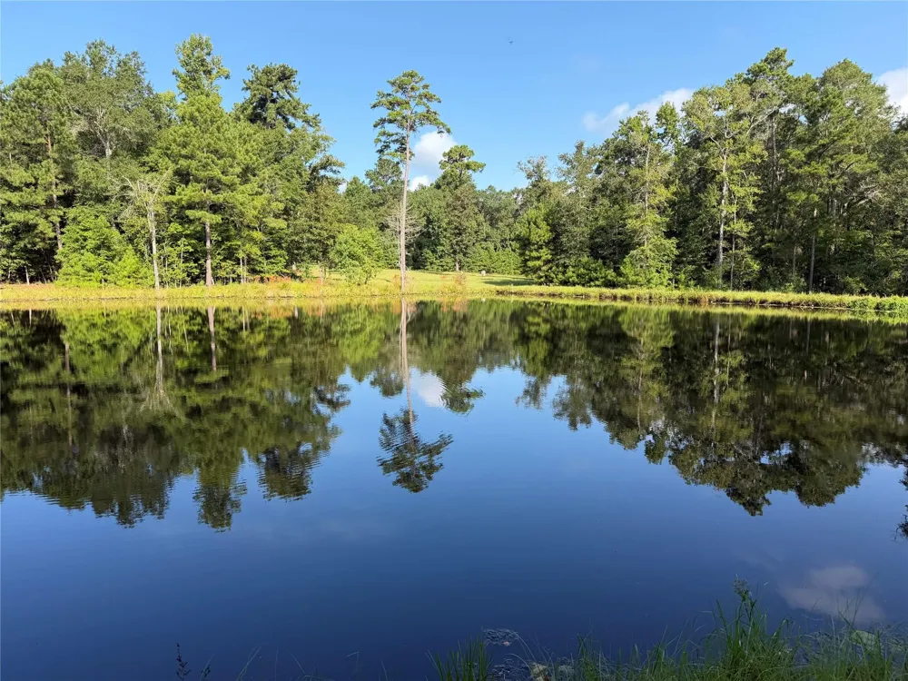 450 Horace Bonds Road Livingston, TX 77351