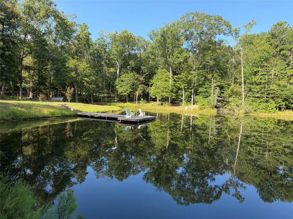 450 Horace Bonds Road Livingston, TX 77351