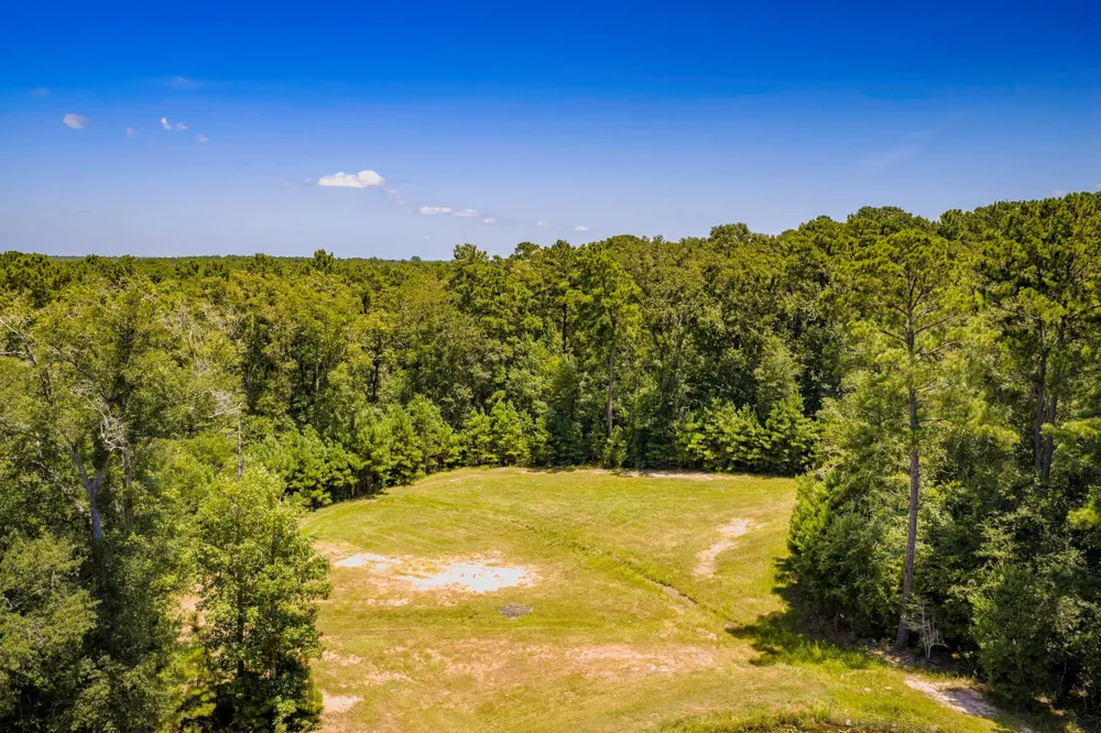 450 Horace Bonds Road Livingston, TX 77351