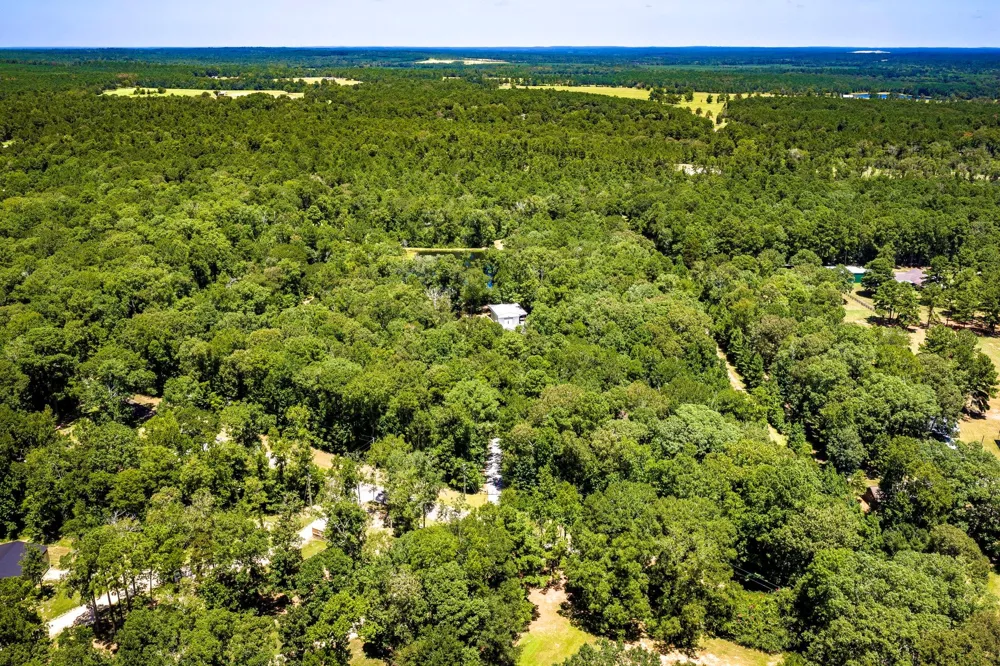 450 Horace Bonds Road Livingston, TX 77351