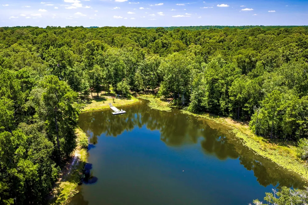 450 Horace Bonds Road Livingston, TX 77351