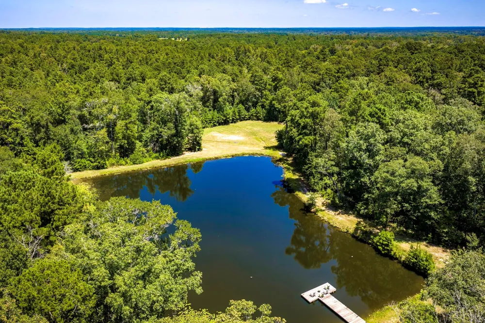 450 Horace Bonds Road Livingston, TX 77351