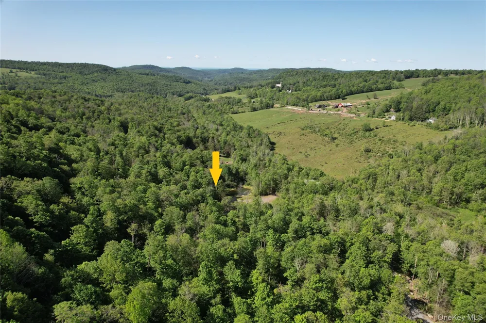 1227 Gulf Road Callicoon Center, NY 12724