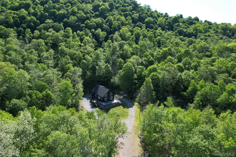 1227 Gulf Road Callicoon Center, NY 12724