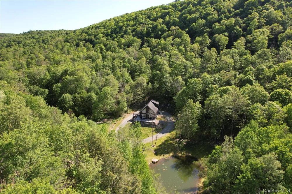 1227 Gulf Road Callicoon Center, NY 12724