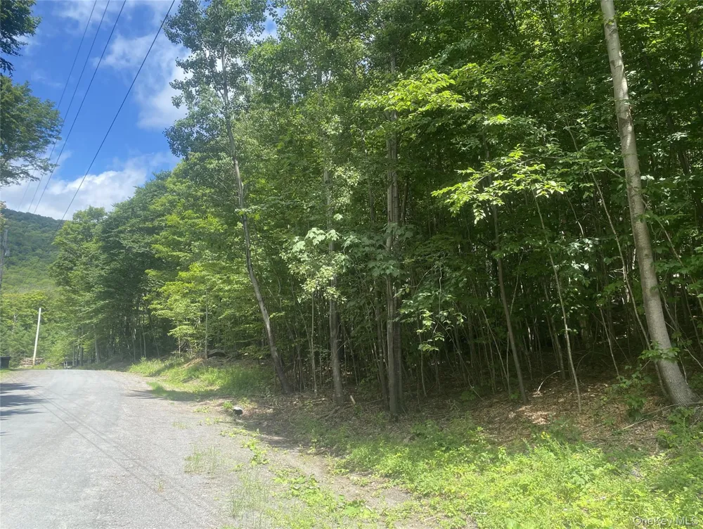 140 Arbor Road West Kill, NY 12452