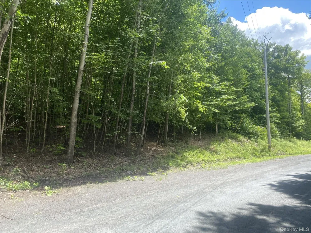 140 Arbor Road West Kill, NY 12452