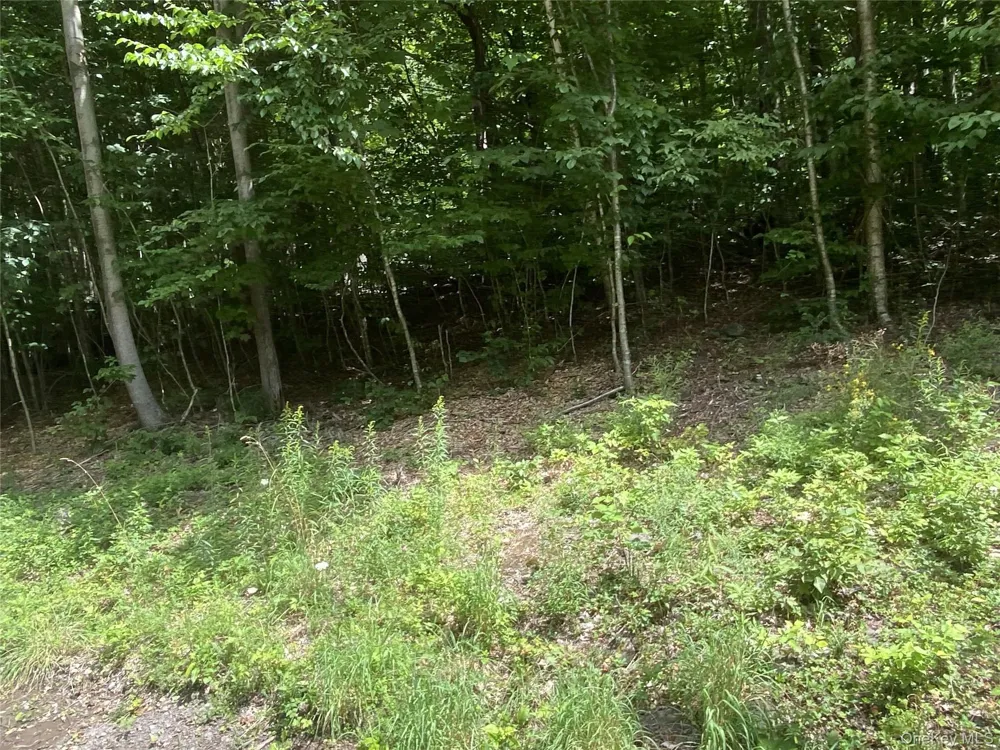 140 Arbor Road West Kill, NY 12452