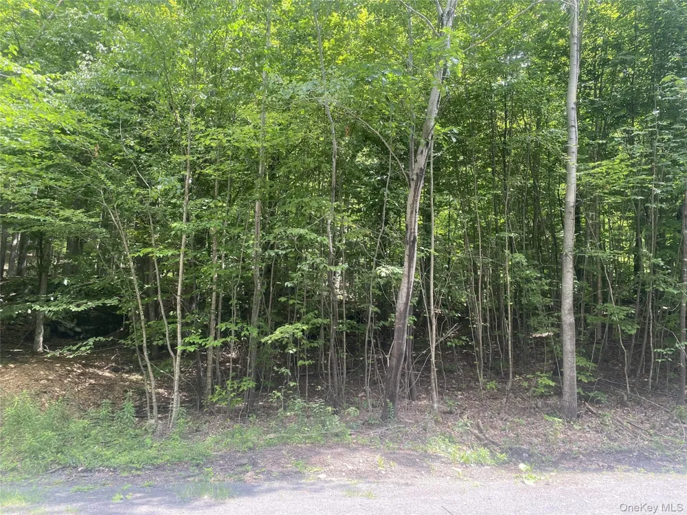 140 Arbor Road West Kill, NY 12452