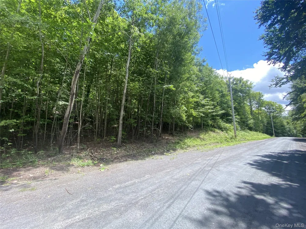 140 Arbor Road West Kill, NY 12452