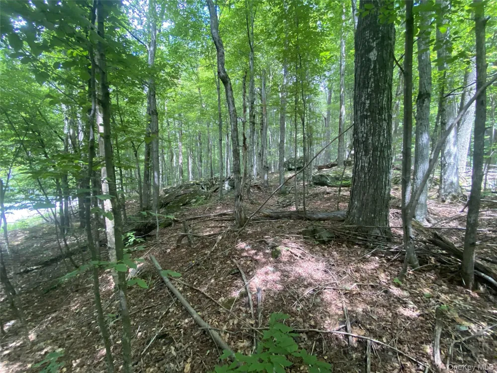 140 Arbor Road West Kill, NY 12452