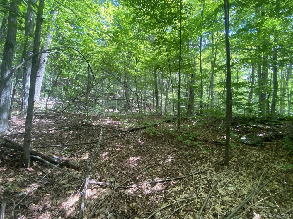 140 Arbor Road West Kill, NY 12452