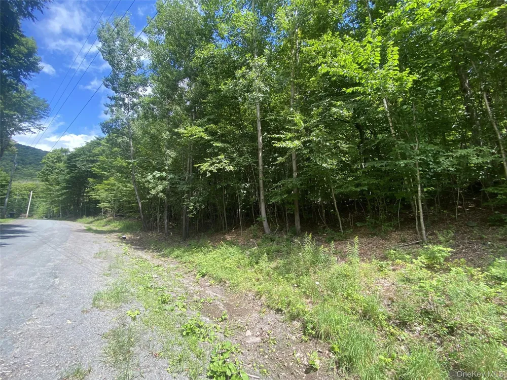 140 Arbor Road West Kill, NY 12452