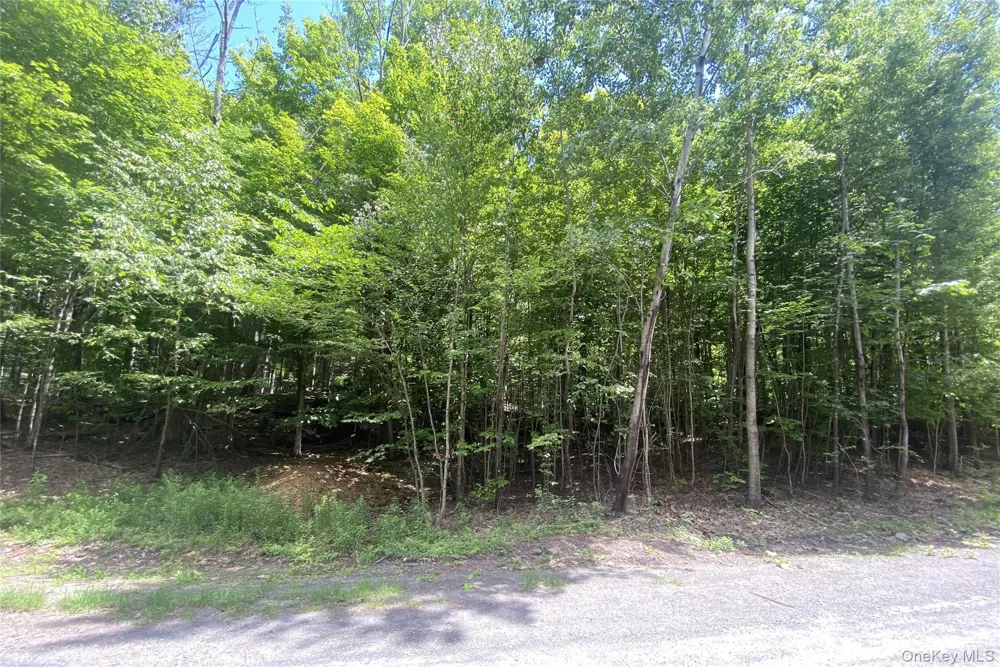 140 Arbor Road West Kill, NY 12452