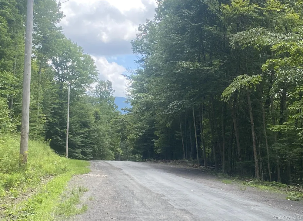 140 Arbor Road West Kill, NY 12452