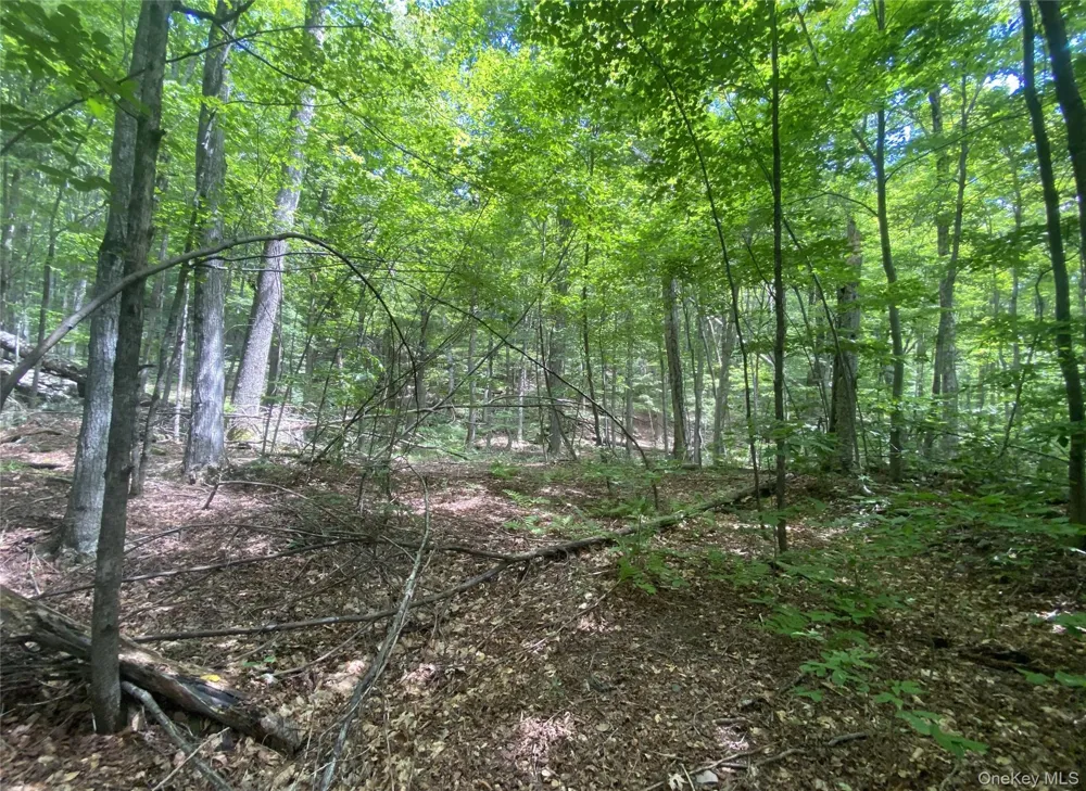 140 Arbor Road West Kill, NY 12452