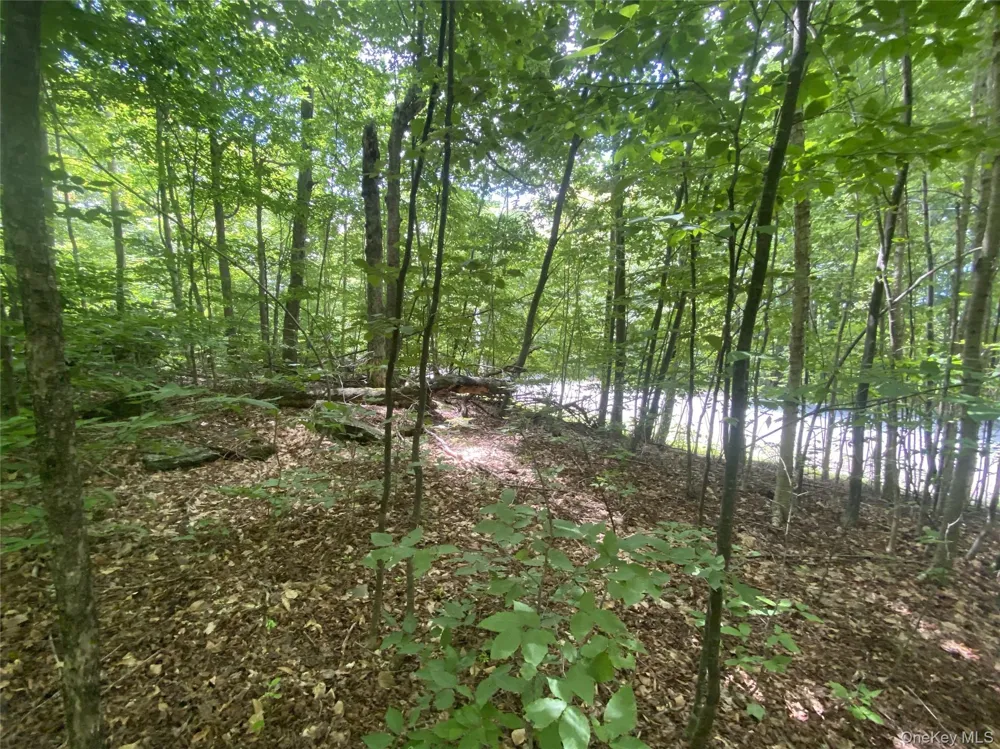 140 Arbor Road West Kill, NY 12452