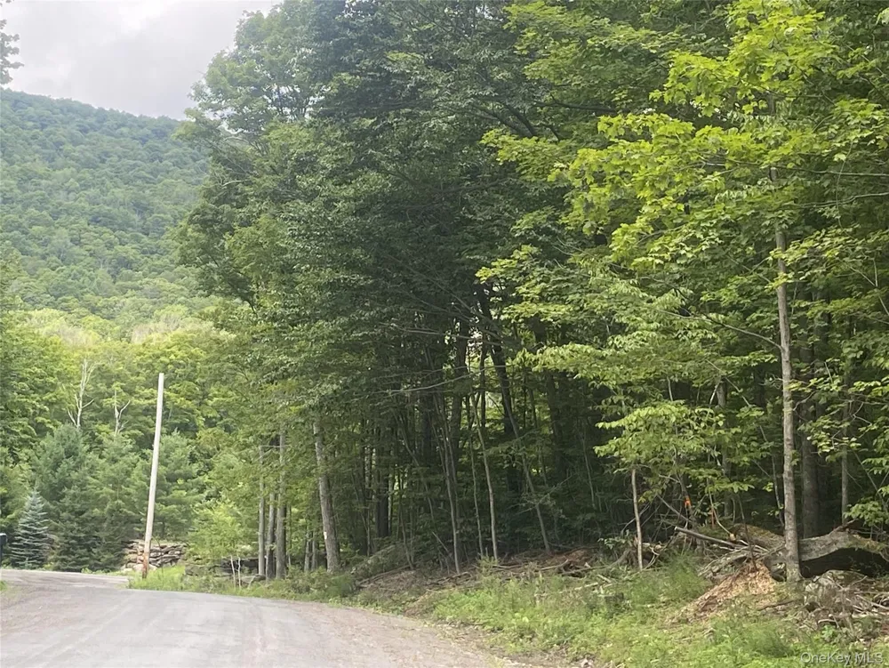 140 Arbor Road West Kill, NY 12452