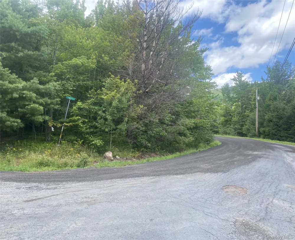 140 Arbor Road West Kill, NY 12452