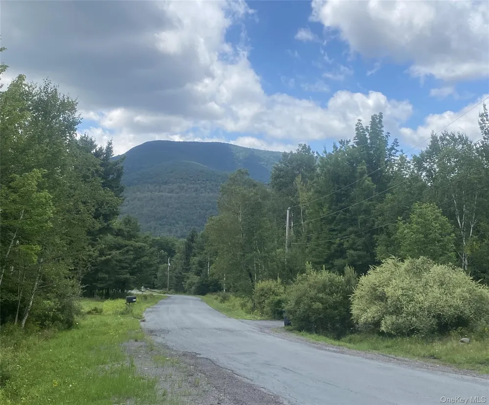 140 Arbor Road West Kill, NY 12452