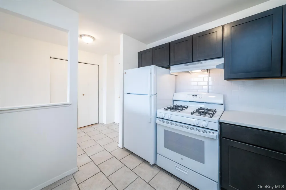 125 Lake Street #6-D North White Plains, NY 10604