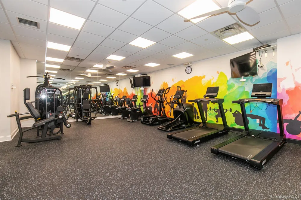 46 Miro Place #46 Port Washington, NY 11050
