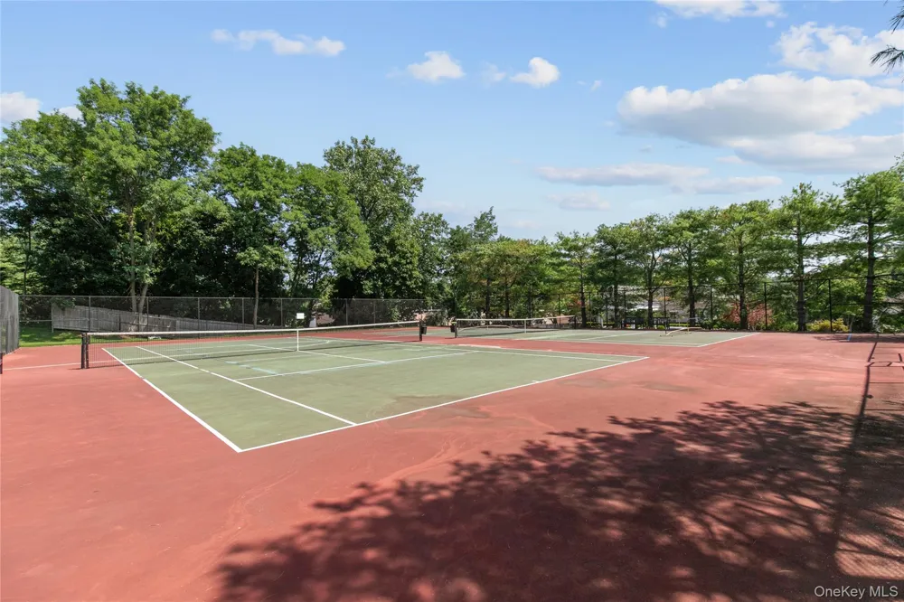 46 Miro Place #46 Port Washington, NY 11050