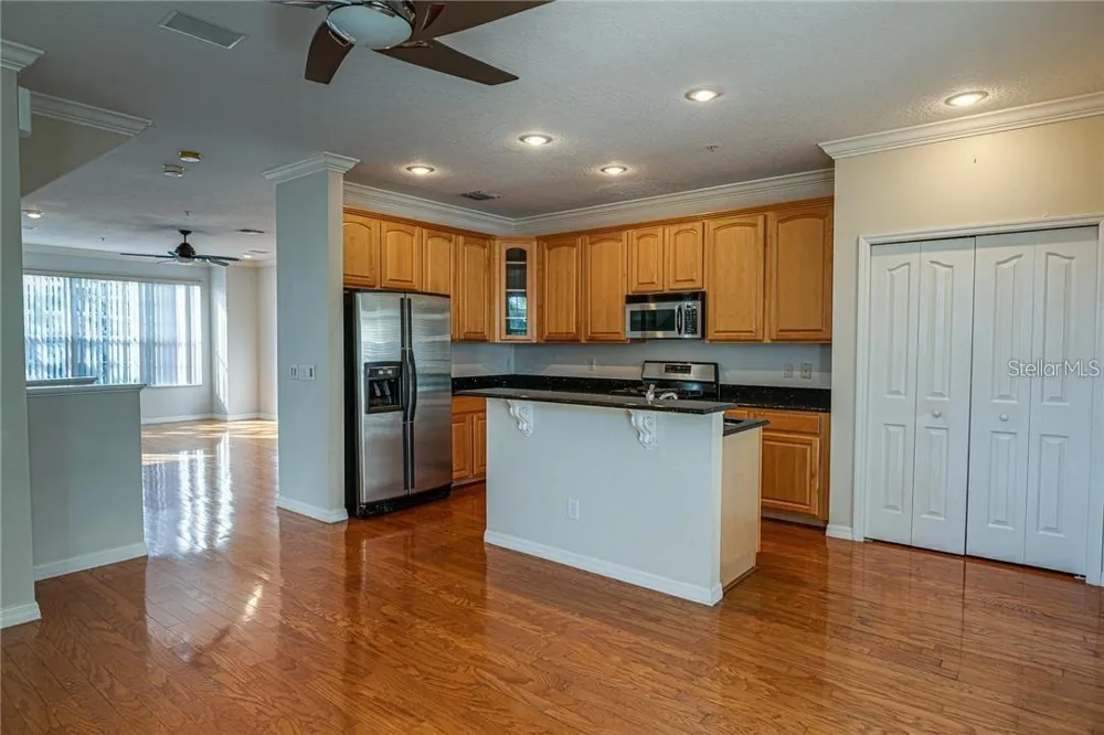 3043 POINTEVIEW DRIVE Tampa, FL 33611