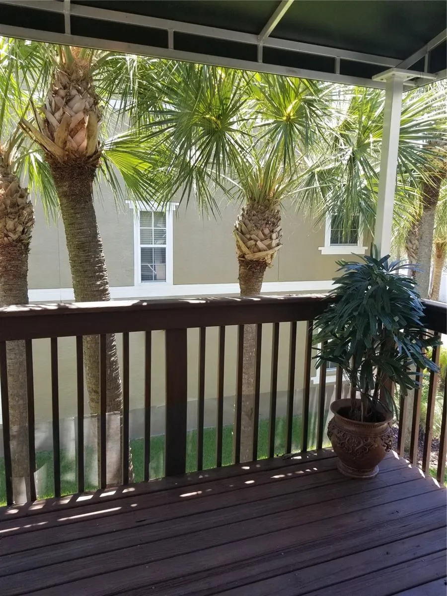 3043 POINTEVIEW DRIVE Tampa, FL 33611