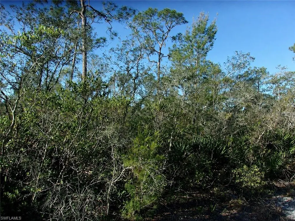 10566 Interlacher Drive Sebring, FL 33875