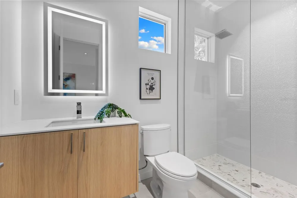 668 NEWTON AVENUE S St Petersburg, FL 33701