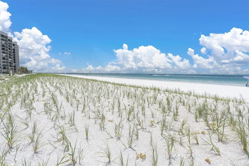 1600 GULF BOULEVARD #617 Clearwater Beach, FL 33767