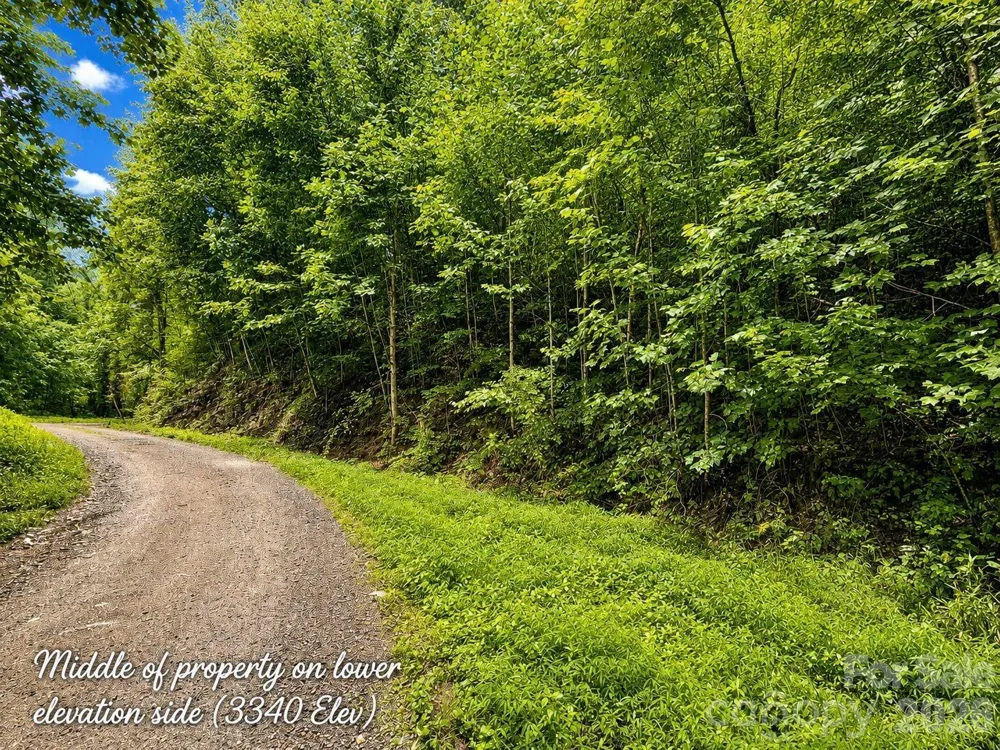 1000 Yonah Trail #7 Waynesville, NC 28785