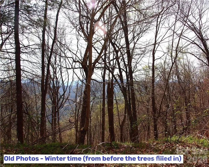 1000 Yonah Trail #7 Waynesville, NC 28785