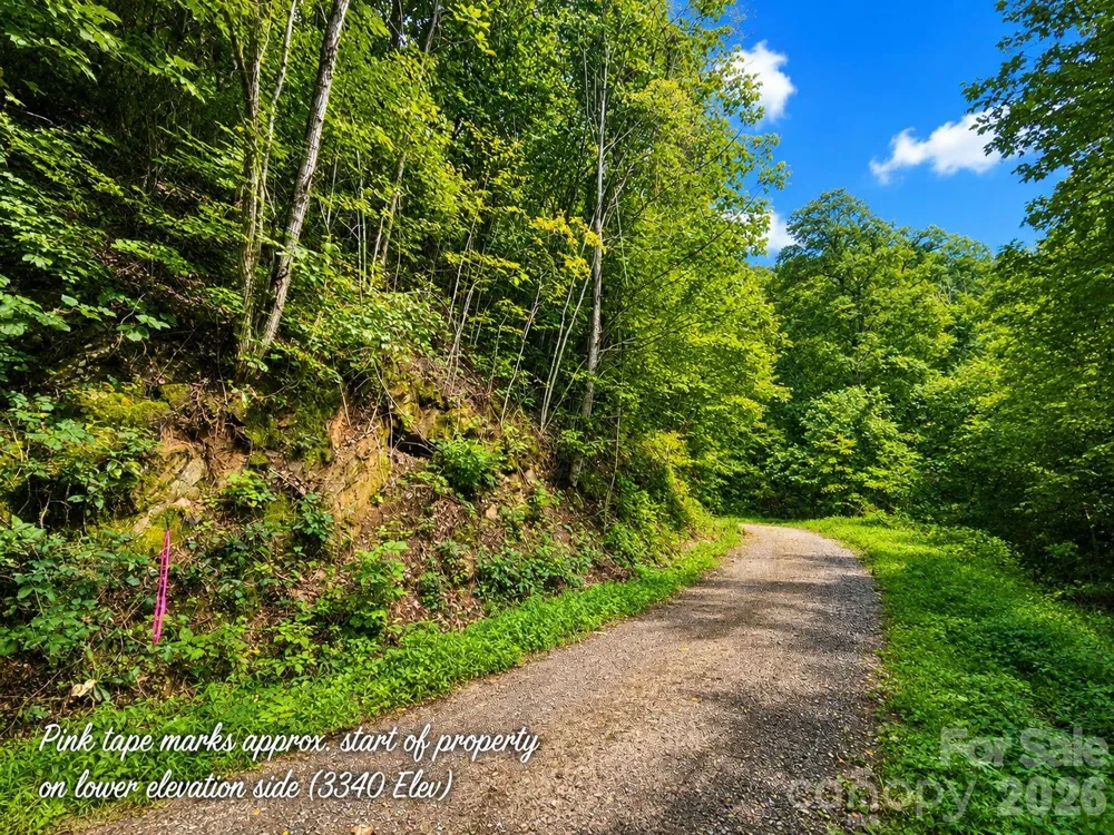 1000 Yonah Trail #7 Waynesville, NC 28785