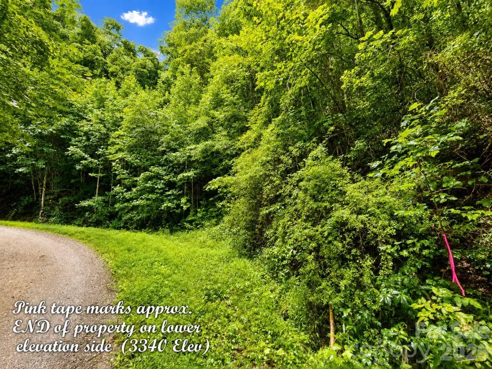 1000 Yonah Trail #7 Waynesville, NC 28785