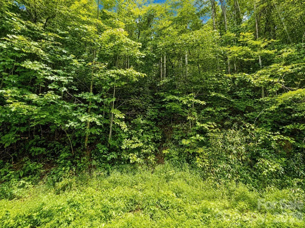 1000 Yonah Trail #7 Waynesville, NC 28785