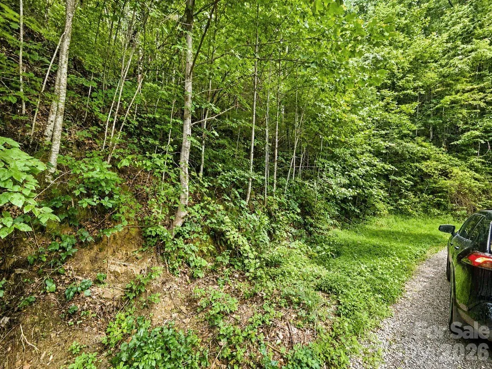 1000 Yonah Trail #7 Waynesville, NC 28785