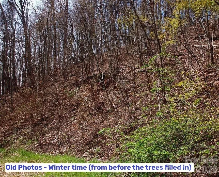 1000 Yonah Trail #7 Waynesville, NC 28785