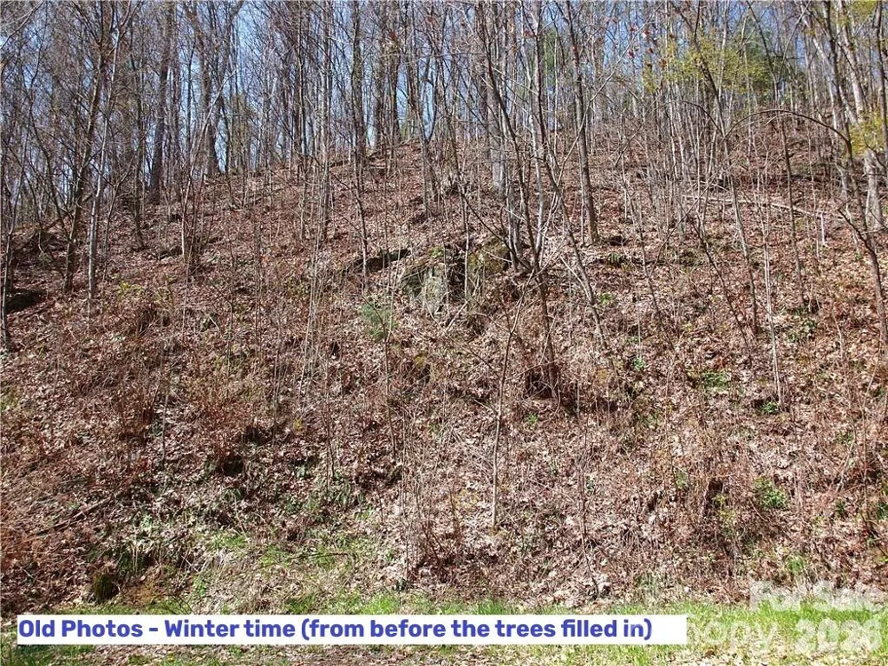 1000 Yonah Trail #7 Waynesville, NC 28785