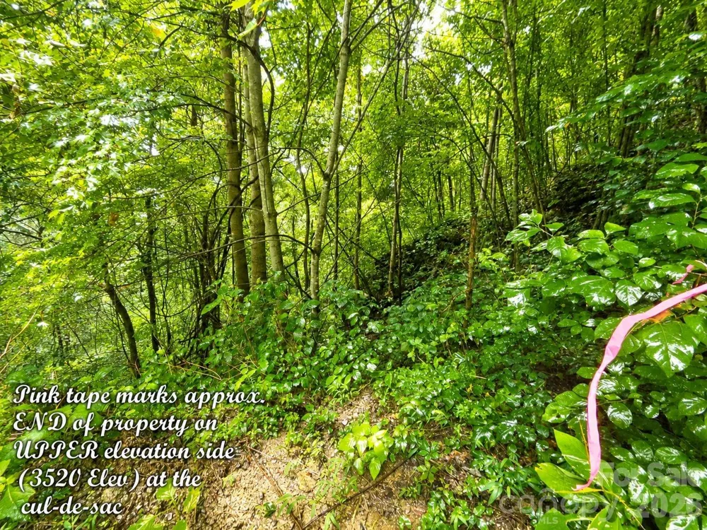 1000 Yonah Trail #7 Waynesville, NC 28785