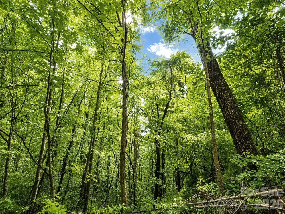 1000 Yonah Trail #7 Waynesville, NC 28785