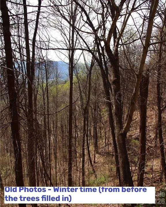 1000 Yonah Trail #7 Waynesville, NC 28785