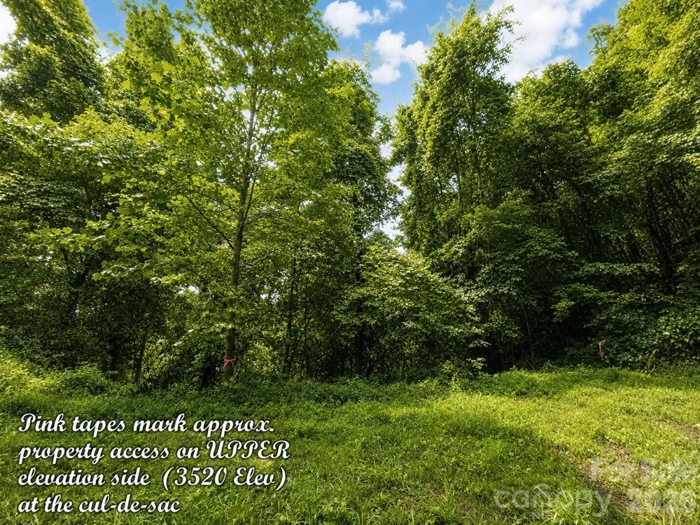 1000 Yonah Trail #7 Waynesville, NC 28785