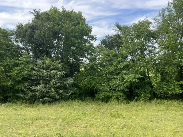 CR 15580 Paris, TX 75462