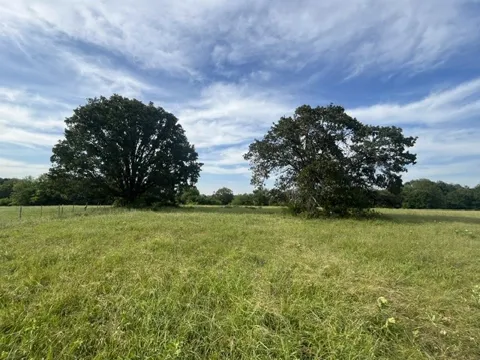 CR 15580