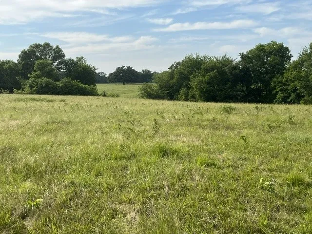 CR 15580 Paris, TX 75462
