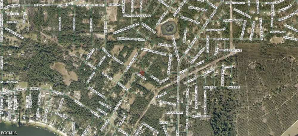 Baycourt Pass Ocklawaha, FL 32179