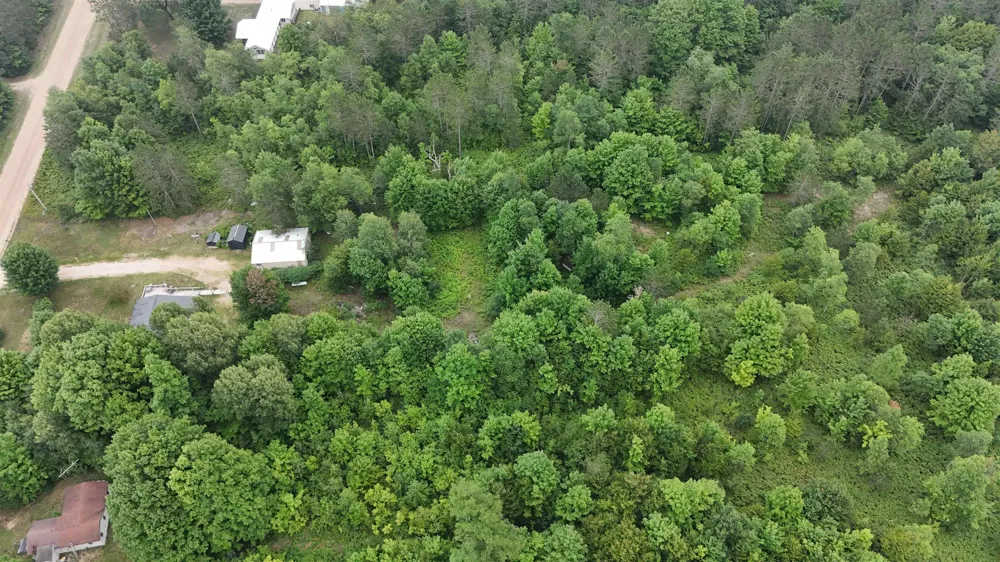 14441 Woods Trail Springdale Township, MI 49683