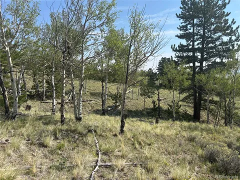 11414 Ranch Road